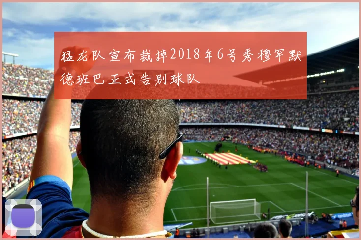 猛龙队宣布裁掉2018年6号秀穆罕默德班巴正式告别球队
